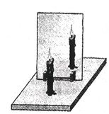 中考物理知识点,物理实验填空题,初中物理基础知识