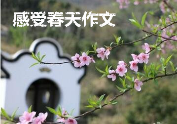 感受春天的作文 感受春天的作文
