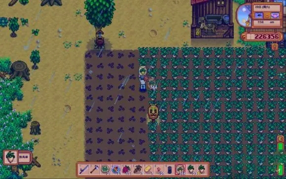 星露谷物è¯14姜岛怎么去 星露谷物è¯14姜岛怎么去