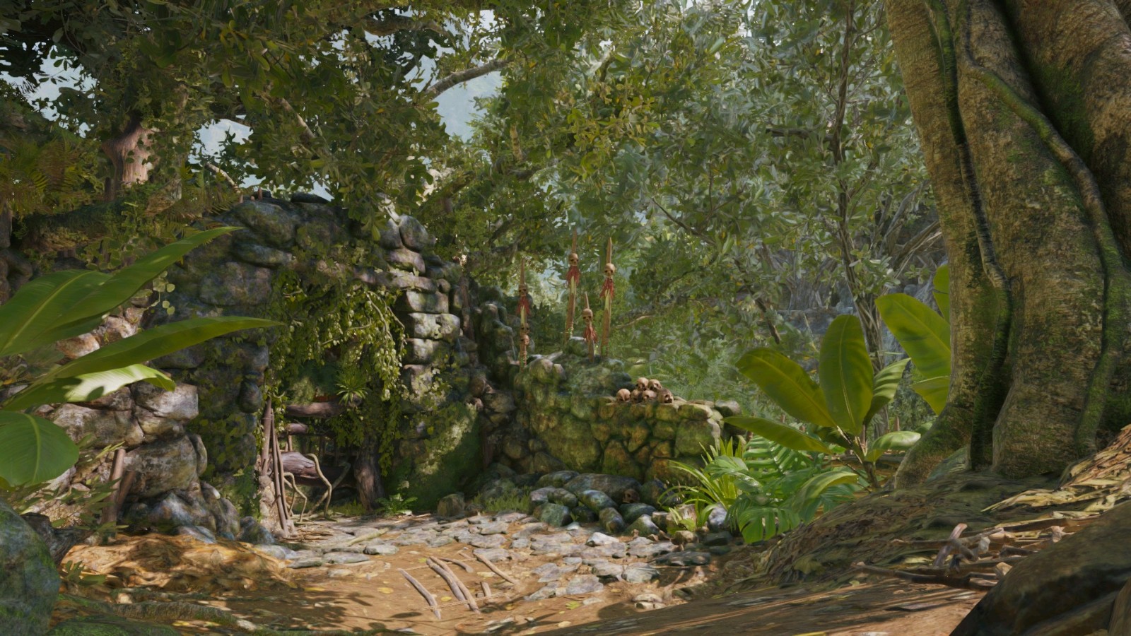 å¤å¢“丽影秘é²ä¸›æž—å¤å¢“怎么进 å¤å¢“丽影秘é²ä¸›æž—å¤å¢“怎么进