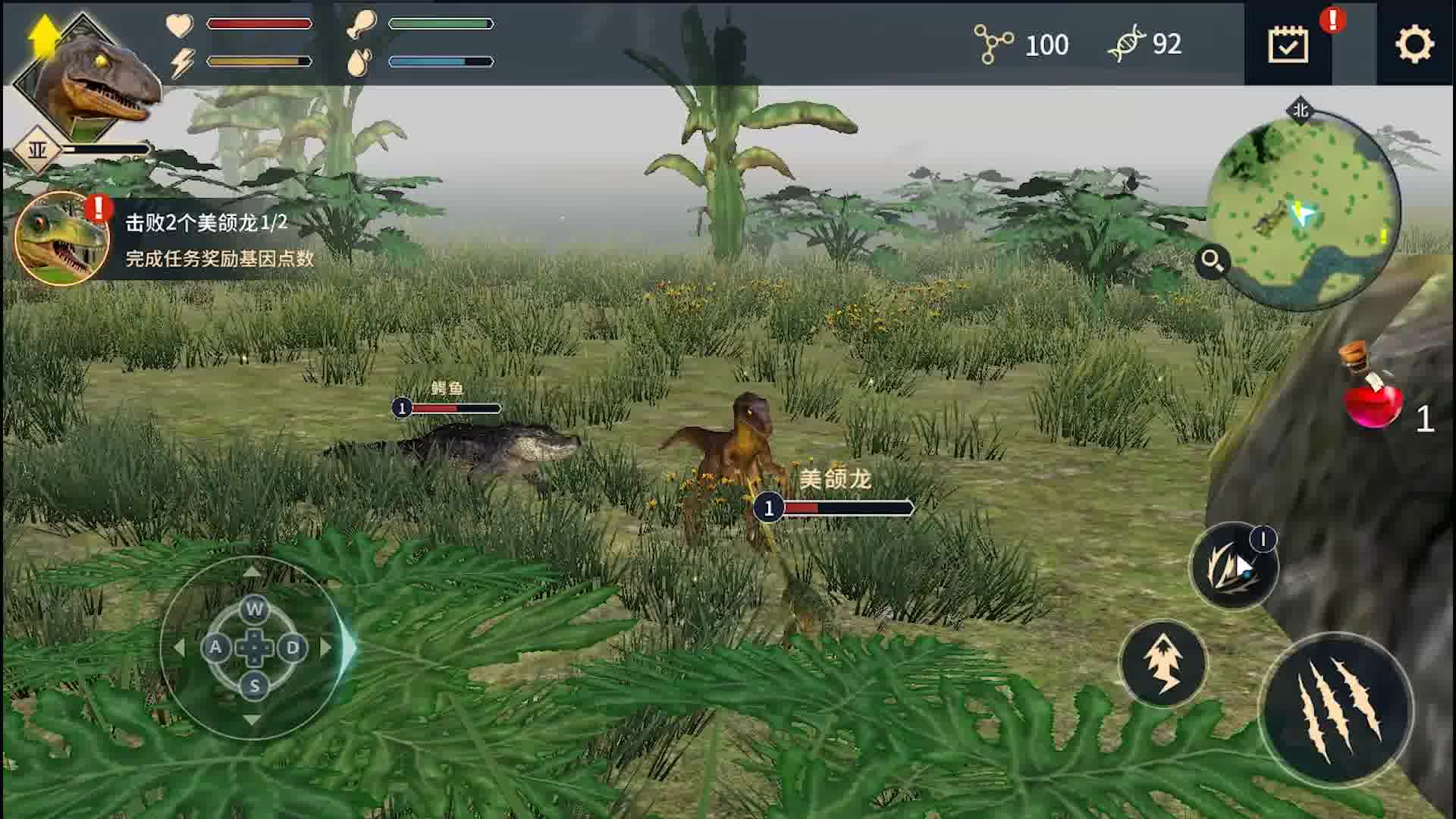 æé¾™å²›é¾™æ€Žä¹ˆè¿›åŒ–æˆäººç±» æé¾™å²›é¾™æ€Žä¹ˆè¿›åŒ–æˆäººç±»