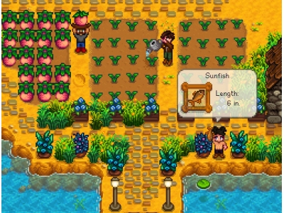 星露谷物语多人模式玩法怎么玩