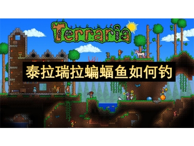 娉版媺鐟炴媺铦欒潬楸煎浣曢挀